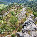 청도자연휴양림- 딴봉- 조화봉- 월광봉 - ▲천왕봉 - 오산2리 2 이미지