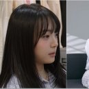 수연 - 보성군 | 수연