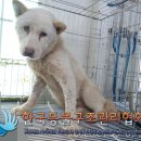 하성로 이미지