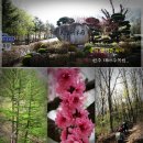 수목원약수터 이미지