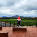 대충한잔 | 🌿제주도 서귀포 표선 가볼만한곳 ( 성읍 녹차동굴 &amp; 오늘은 녹차한잔카페 방문후기)