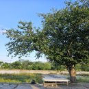 양포한방백숙 | 포항한식맛집 오리불고기가 맛있는 '양포한방백숙' 후기