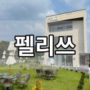 [펠리쓰] 예쁜 포토존이 많고, 음료도 맛있는 관평동 대형카페