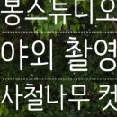 스튜디오미사나무