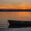 디디그루밍 이미지