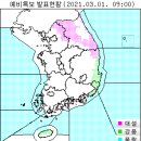 3월 1일(월요일) 08:00 현재 대한민국 날씨 및 기상특보 발효 현황 (울릉도, 독도 포함) 이미지