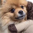 관악노인종합복지관 이미지