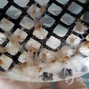 도화모텔 이미지