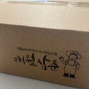 삼춘농산물 | [내돈내산] 제주도 귤맛집 택배배송 가능한 애월삼춘 완전 추천해요!