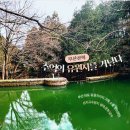 부산기타문화원