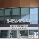 선샤인 반려견 유치원 이미지