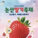 청년피자 논산점 | 딸기체험 추천 논산 또로롱딸기 논산딸기축제까지 소개합니다.