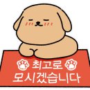 데일리독 의정부강아지분양 애견분양 이미지