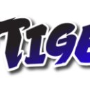 비호경희대태권도 이미지