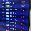 실시간 난리난 제주공항 이미지