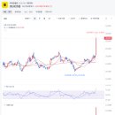 스테이블그라운드