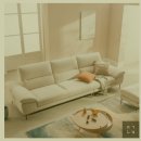 화신크리닝 | [에싸 소파] 에싸 엘로이즈 소파 3.5인-7개월 찐 사용후기 내돈내산