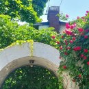 망원정마당 공중화장실 이미지