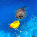 호텔 델루멍 이미지