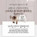 태평역 동물병원 이미지