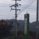 백일홍명품길 네이버블로그