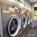 상쾌한 운동화 이불 빨래방 | 대구 대명동 빨래방 이불빨래 24시 무인 셀피아 운동화까지 코인세탁방
