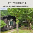 소나무약국 | 강원도 양구 광치자연휴양림 소나무방 201호 6인실 여름계곡 물놀이