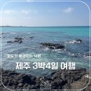 신화로(3-217) | 🏝️제주 겨울 여행 3박4일 추천｜맛집·숙소·경비 등 완벽 히든 가이드 정리글