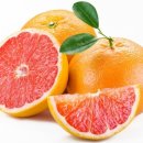 인퓨즈드 이미지