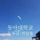 동아대학교 산업정보대학원 | 2025. 동아대학교, 동아대, 등록금 순위, 장학금, 취업률, 신입생 경쟁률 순위 현황 !!!