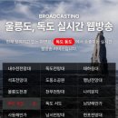 독도사랑 여행사