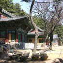 금용암 Daum카페