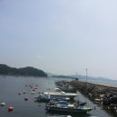 자란도민박