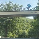 양양 캠핑장 레포밸리 하늘캠핑장 양양송이밸리 놀거리가 있는 캠핑장