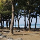 그로브동산