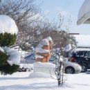 고창초등학교 이미지