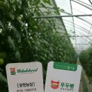 창현농장 이미지