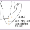 곡지 혈의 효능 이미지