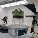 테이크 루트(Take root) 네이버블로그