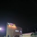 밀양무안식당 | 부산 사상 야장 맛집을 찾는다면?노포 감성제대로인 밀양 꼬리 식당 후기
