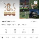 38.5DOG 이미지