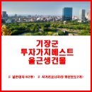 KT 기장지사 이미지