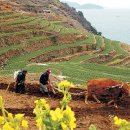 효리 경로당 이미지