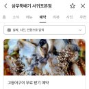 서귀동-31 이미지