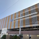 중앙로42번길 | 서귀포 감귤모찌 할머니떡집,떡집딸래미 맛 비교, 하루 뒤 시식 후기, 보관팁