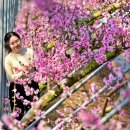 (주)가온리조트 이미지