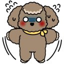 나무동물병원 이미지