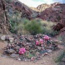 Grand Canyon history: Death along the Colorado River in 1922 이미지