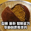밤비공기 장유점