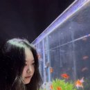 대전 멍택시 네이버블로그